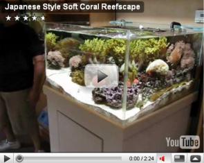 Japanese Style Soft Coral Reefscape